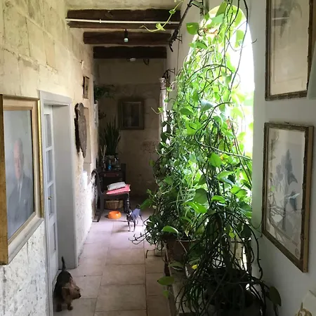 住宿加早餐酒店 No 7 Casa Nannakola