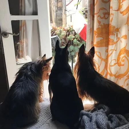 No 7 Casa Nannakola Bed & Breakfast *