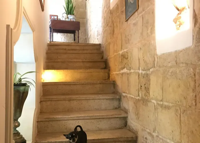 Bed & Breakfast No 7 Casa Nannakola *