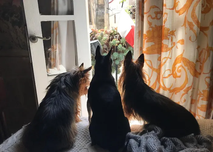 No 7 Casa Nannakola Bed & Breakfast *